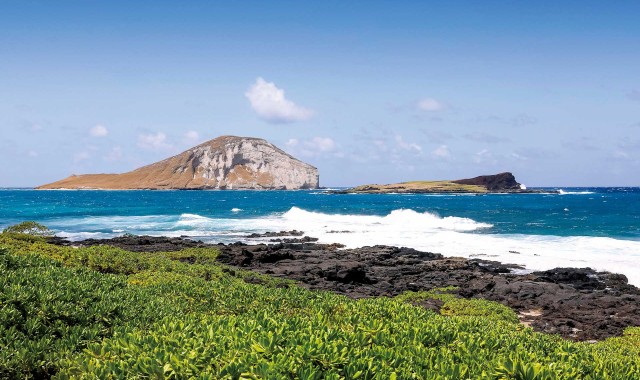 “叫你的季节从账号开始